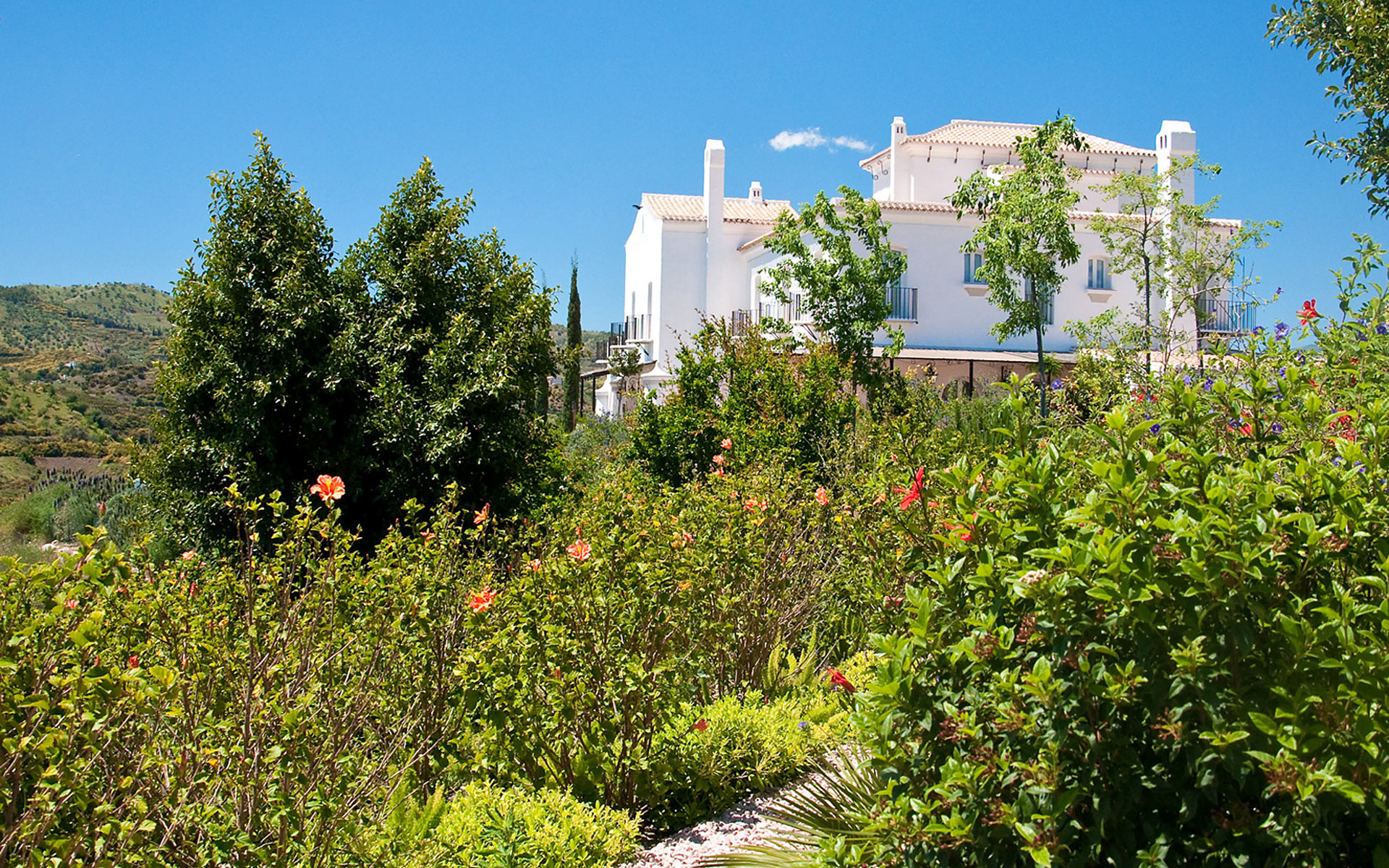 cortijo-wedding-photography-spain